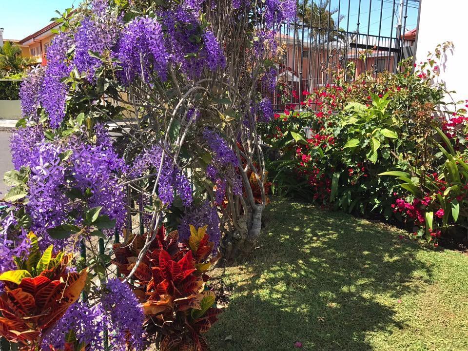 Casa Kibi Kibi Hotel ซานโฮเซ ภายนอก รูปภาพ
